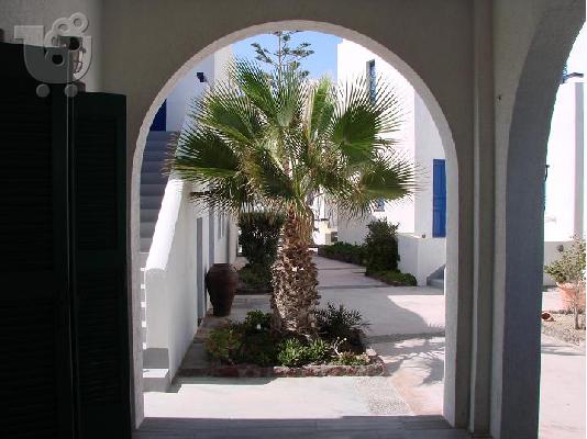 PoulaTo: Strandhotell på Santorini Familiehotell leiligheter Scorpios Santorini Kamari Hellas